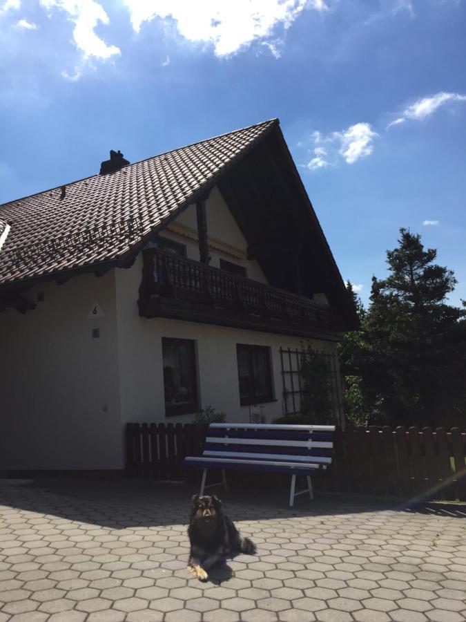Ferienwohnung Elsner Нойнбург форм Валд Екстериор снимка